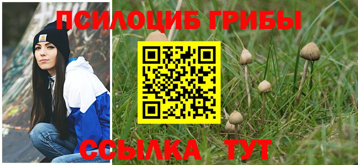 Псилоцибиновые грибы Cubensis Ипатово